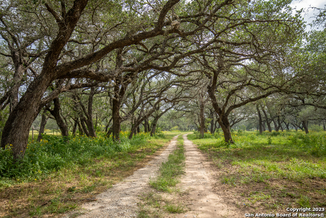 Picture of 25120 Staggs Ranch