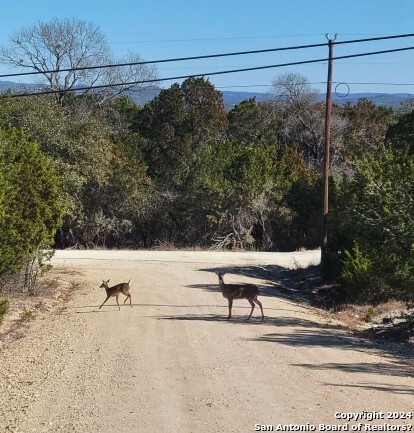 Lot 469 Topside Trl Property Photo 1