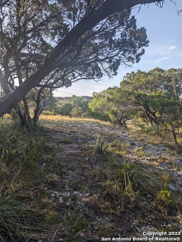 Lot 469 Topside Trl Property Photo 2
