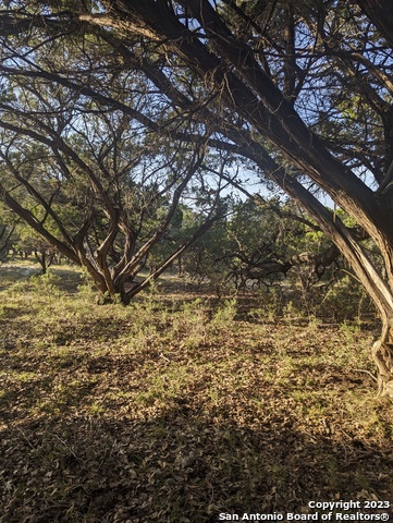 Lot 469 Topside Trl Property Photo 4