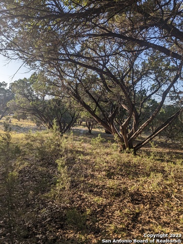 Lot 469 Topside Trl Property Photo 5