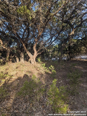 Lot 469 Topside Trl Property Photo 6
