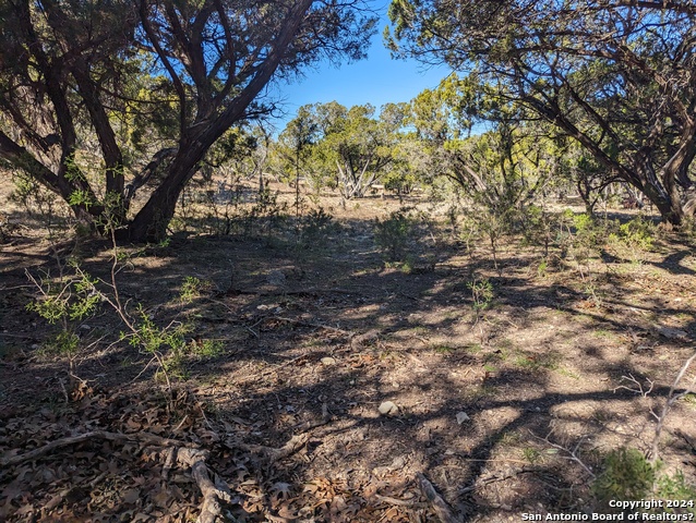 Lot 469 Topside Trl Property Photo 8