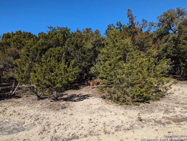 Lot 469 Topside Trl Property Photo 10