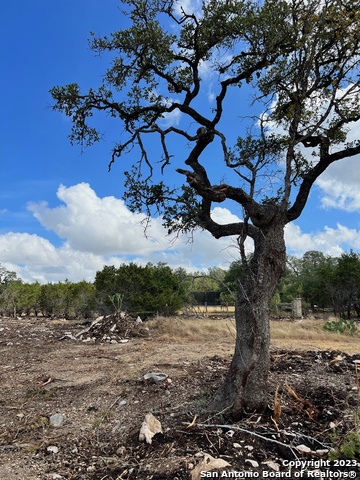 5 Ranch Pt Property Photo 5