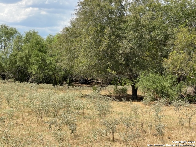 08 County Road 232 Property Photo 1