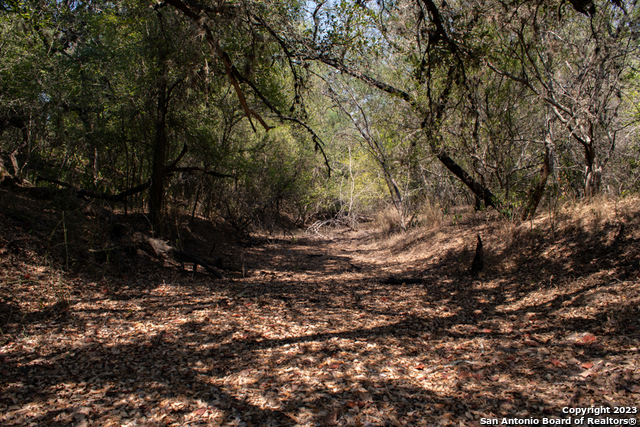 Tract 6 West King Lane Property Photo 1