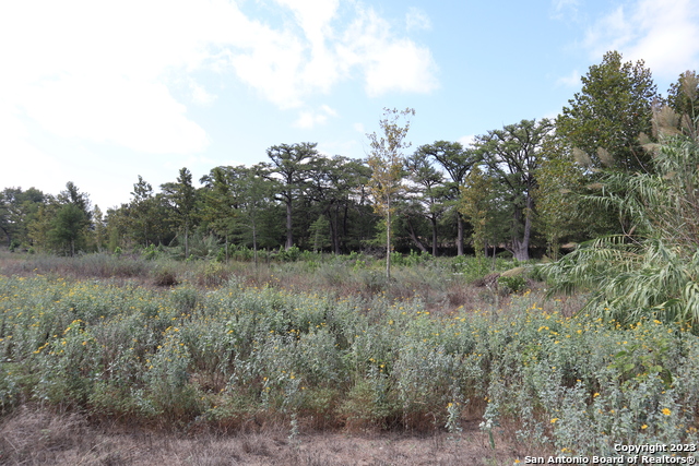 14919 Tx-16 N Property Photo 6