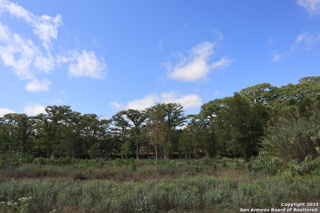 14919 Tx-16 N Property Photo 7