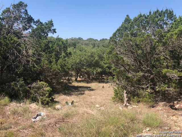 1213 Salt Lick Dr Property Photo 3
