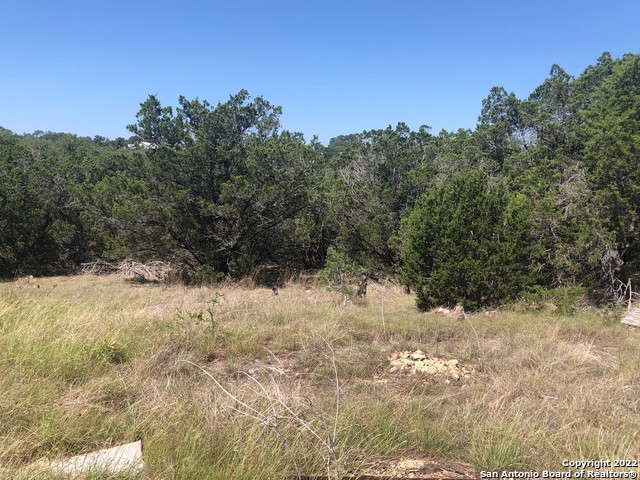1213 Salt Lick Dr Property Photo 4