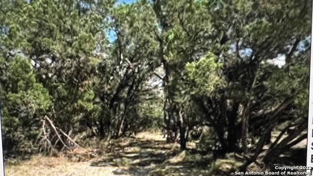 129 Camp Verde Rd Property Photo 4