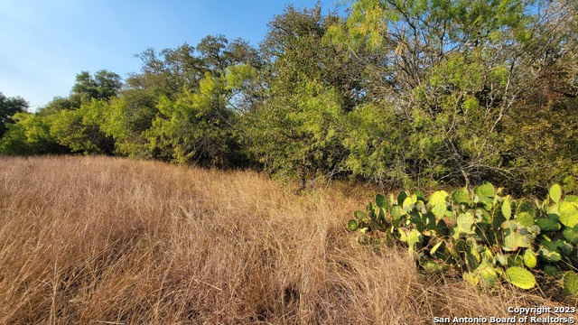 17 Landmart Ranch Property Photo