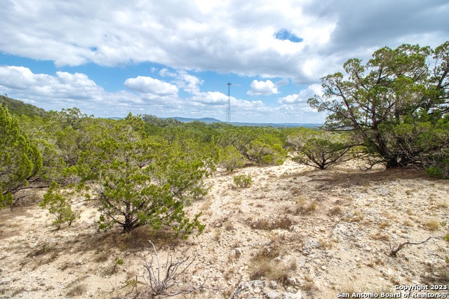 Lot 228 Forest Trail Dr Property Photo