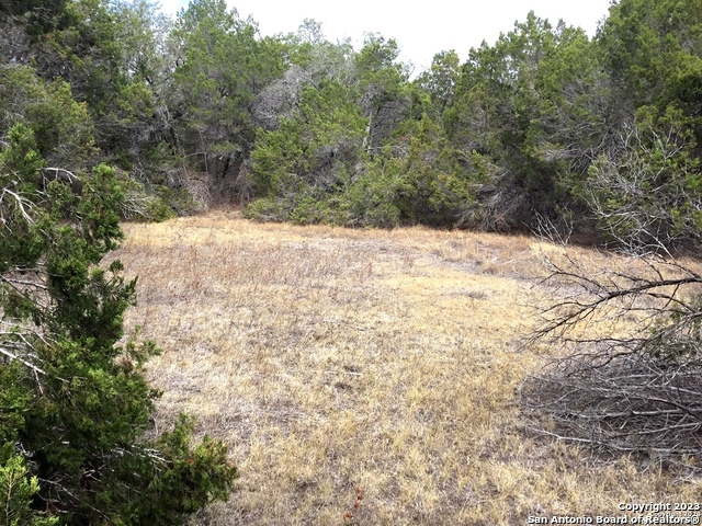 101 Stallion Estates Dr Property Photo 4