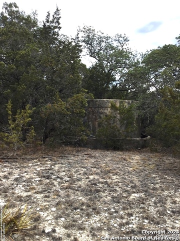 101 Stallion Estates Dr Property Photo 6