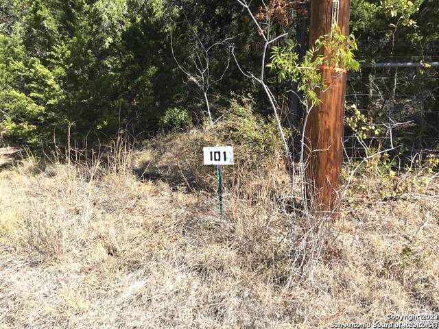 101 Stallion Estates Dr Property Photo 9