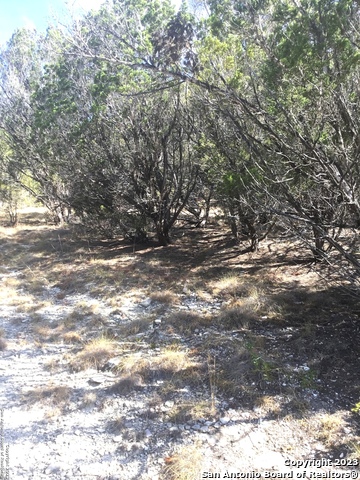 101 Stallion Estates Dr Property Photo 10