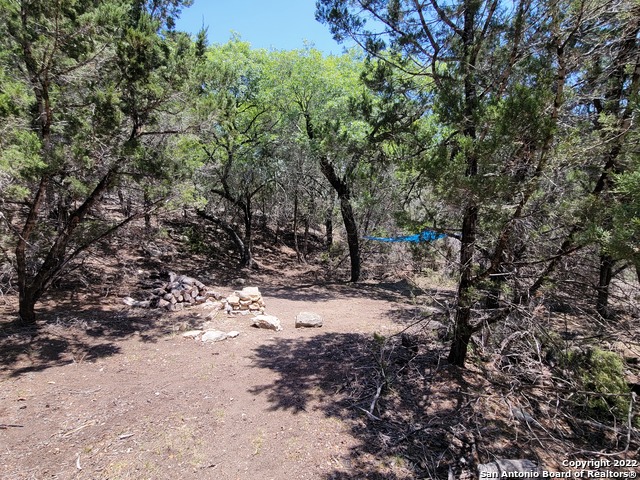 LOT 115 LAKERIDGE LOOP Property Photo 1