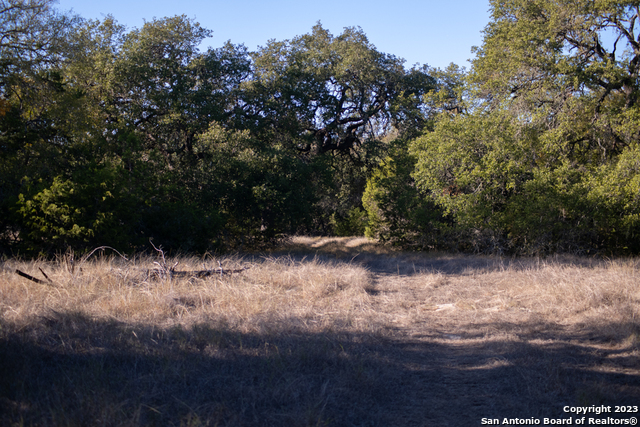 1491 Cypress Cove Rd Property Photo 7