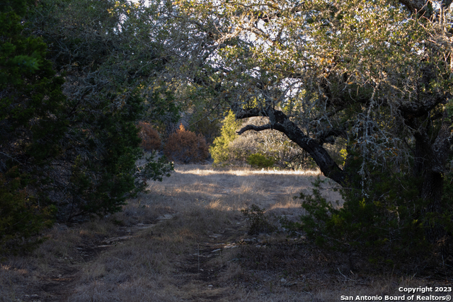 1491 Cypress Cove Rd Property Photo 11