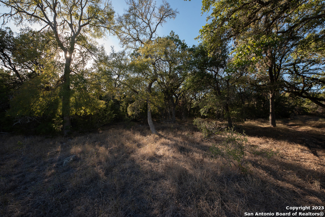 1491 Cypress Cove Rd Property Photo 14