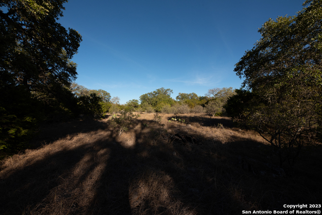 1491 Cypress Cove Rd Property Photo 15