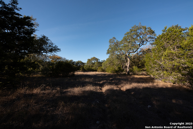 1491 Cypress Cove Rd Property Photo 16