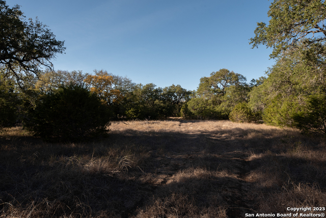 1491 Cypress Cove Rd Property Photo 17
