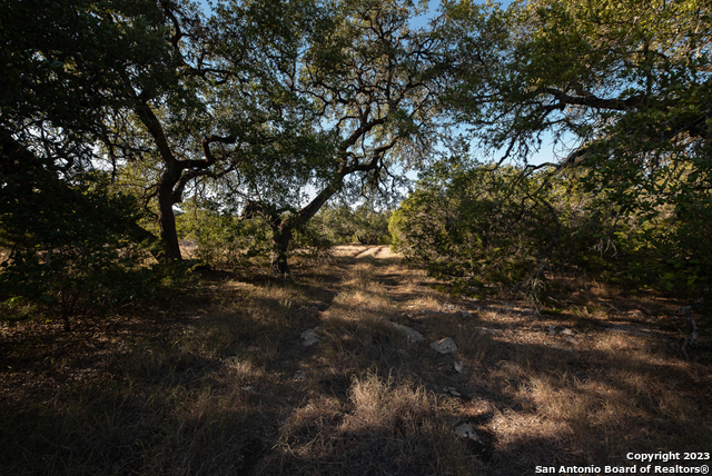 1491 Cypress Cove Rd Property Photo 18