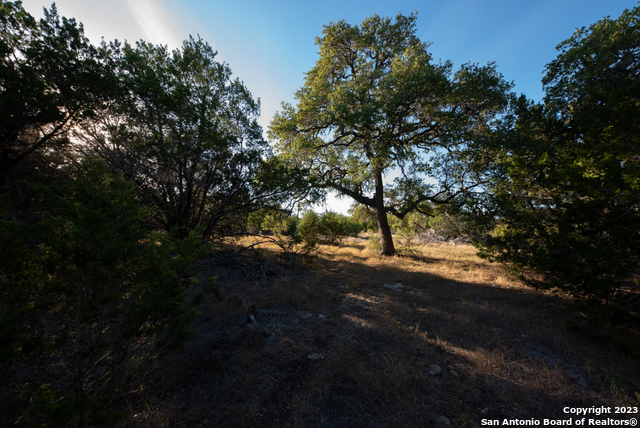 1491 Cypress Cove Rd Property Photo 20