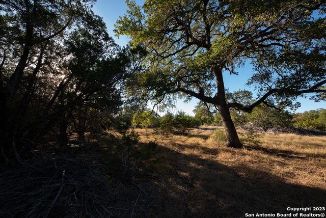 1491 Cypress Cove Rd Property Photo 21