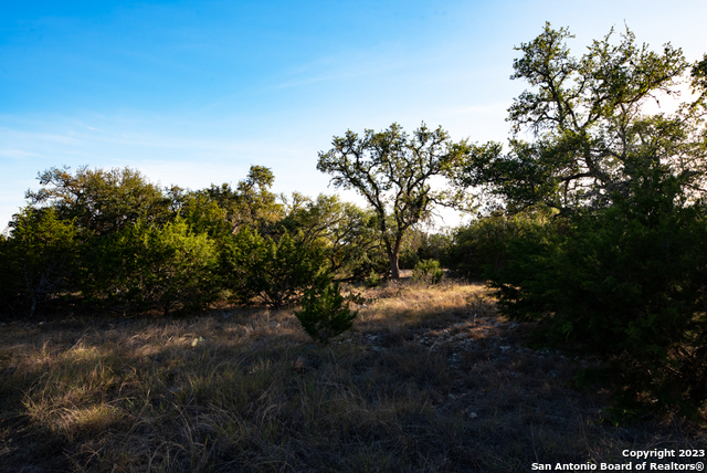 1491 Cypress Cove Rd Property Photo 23