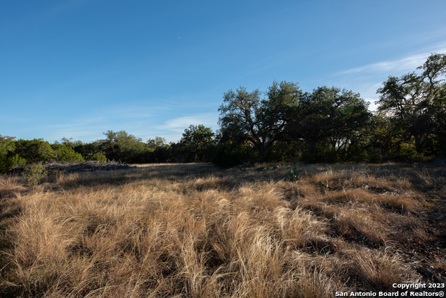 1491 Cypress Cove Rd Property Photo 24
