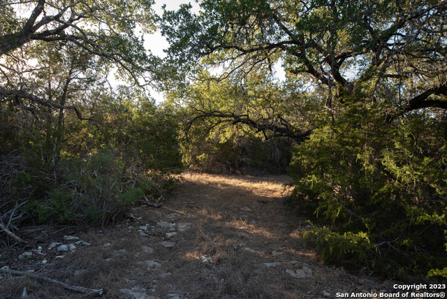 1491 Cypress Cove Rd Property Photo 25