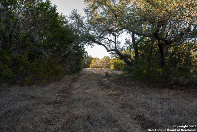 1491 Cypress Cove Rd Property Photo 26