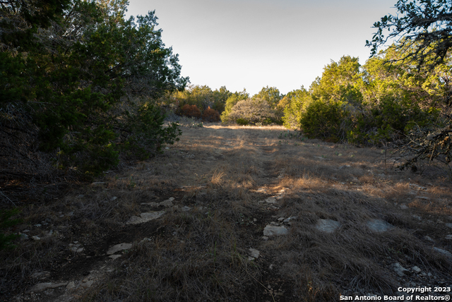 1491 Cypress Cove Rd Property Photo 27