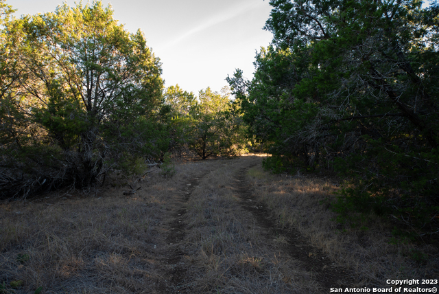1491 Cypress Cove Rd Property Photo 28