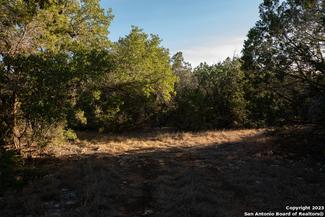 1491 Cypress Cove Rd Property Photo 29