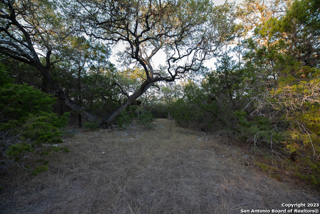 1491 Cypress Cove Rd Property Photo 41