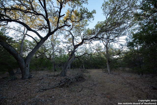 1491 Cypress Cove Rd Property Photo 42