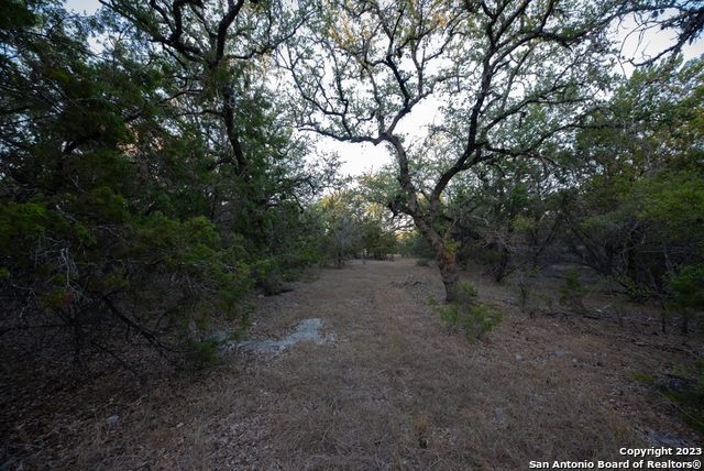 1491 Cypress Cove Rd Property Photo 43
