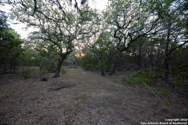 1491 Cypress Cove Rd Property Photo 44