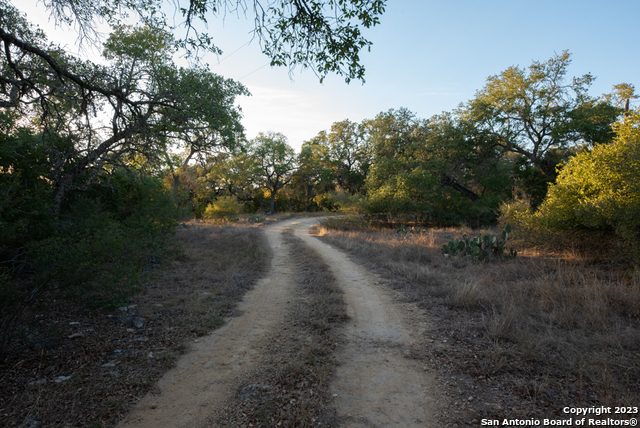 1491 Cypress Cove Rd Property Photo 48