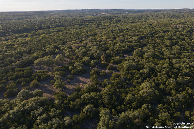 1491 Cypress Cove Rd Property Photo 60