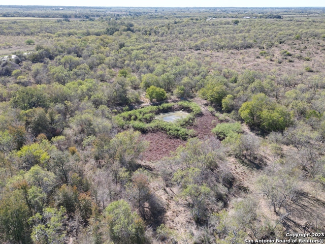 2956 County Road 421 Property Photo 1