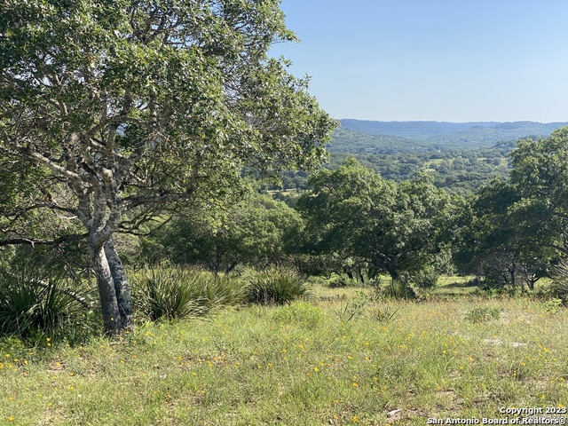 Lot 48 Blackbuck Trail Property Photo