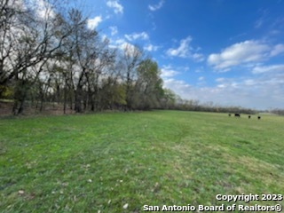 0 Fm 981 Property Photo 4