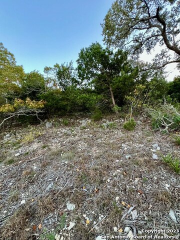 000 Carson Spgs Property Photo 3