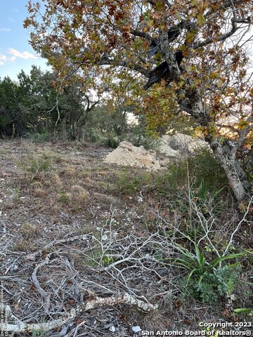 000 Carson Spgs Property Photo 13